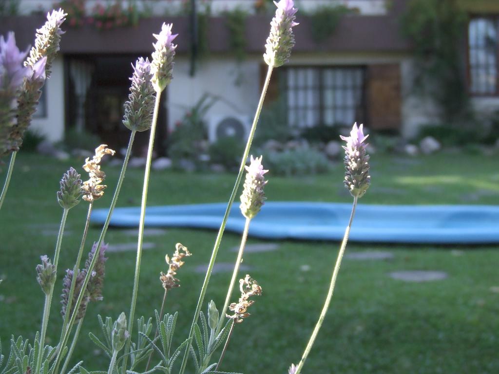 Hosteria Pascana San Salvador de Jujuy Eksteriør bilde