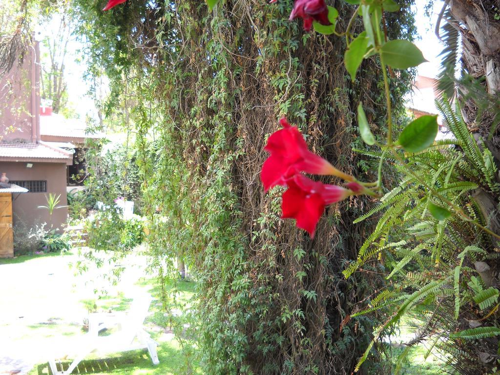 Hosteria Pascana San Salvador de Jujuy Eksteriør bilde